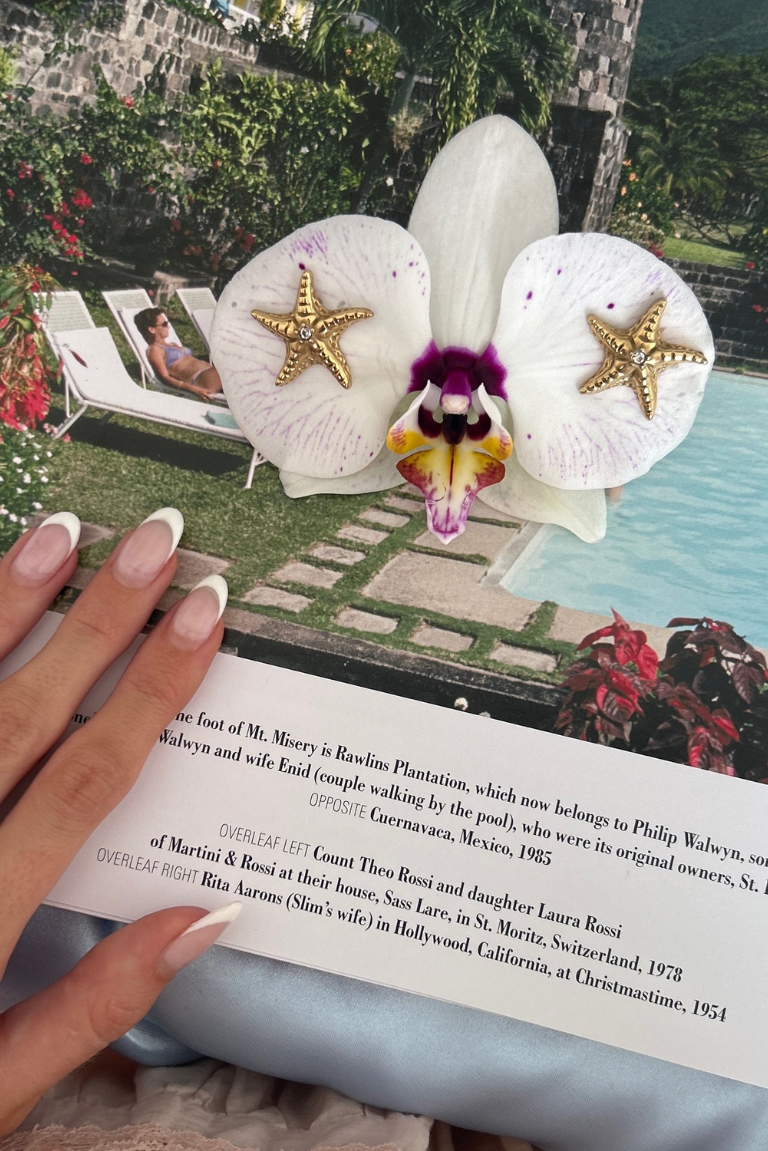 Starfish Earrings in Gold