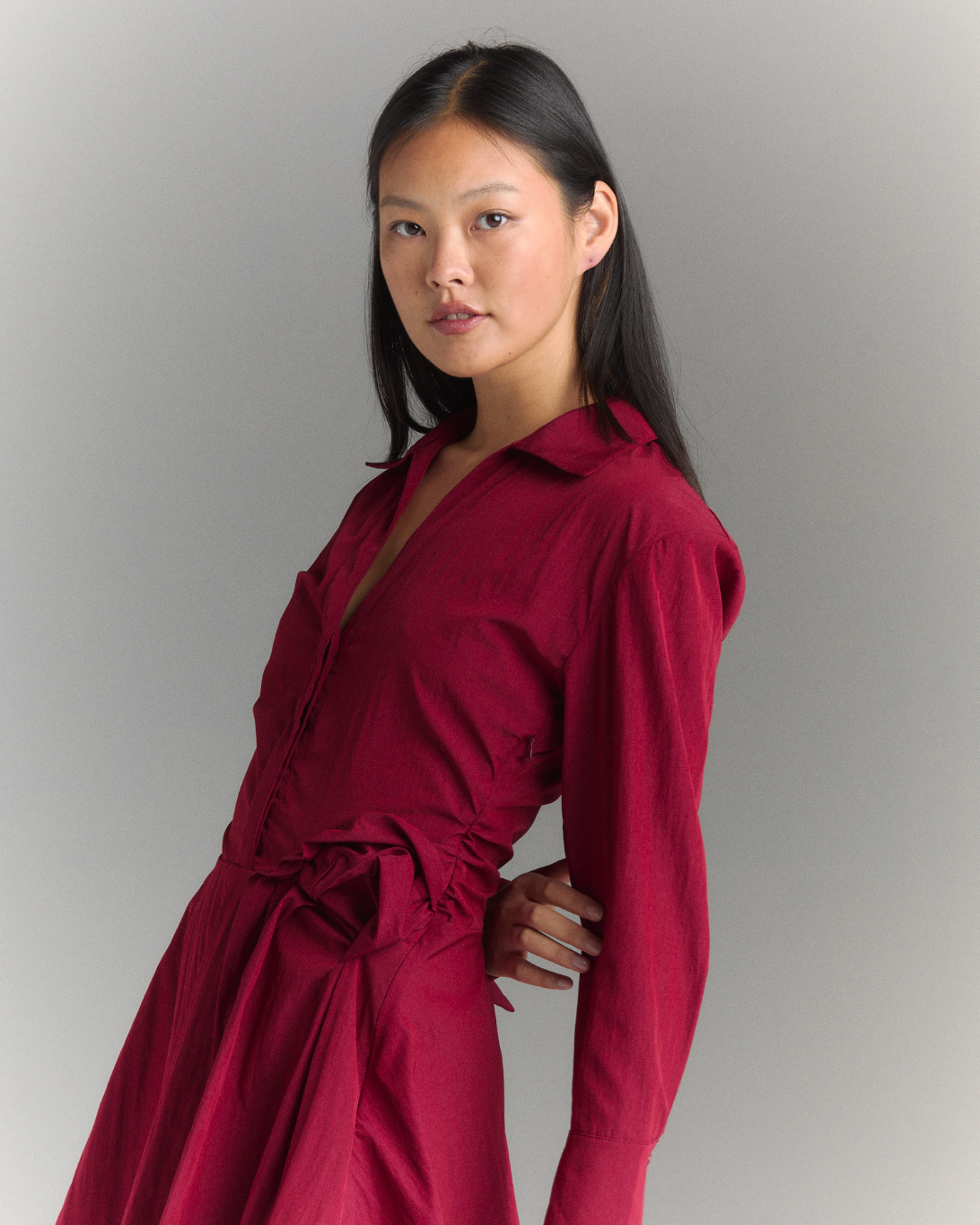 Chloris Shirt Dress in Berry